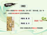 第12课《诗经二首——关雎》课件-2025-2026学年统编版语文八年级下册