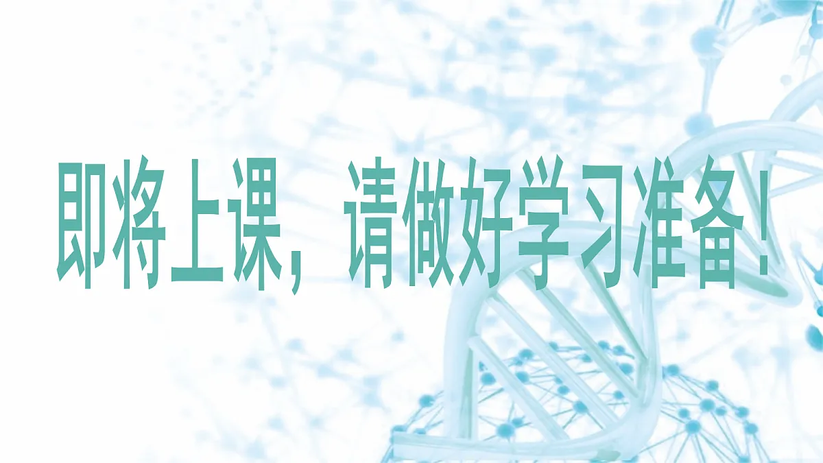 18175979第1页