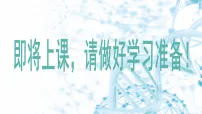 初中生物人教版（2024）八年级下册（2024）第一节 基因与生物性状的关系课文课件ppt