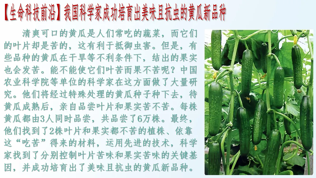 18175979第2页