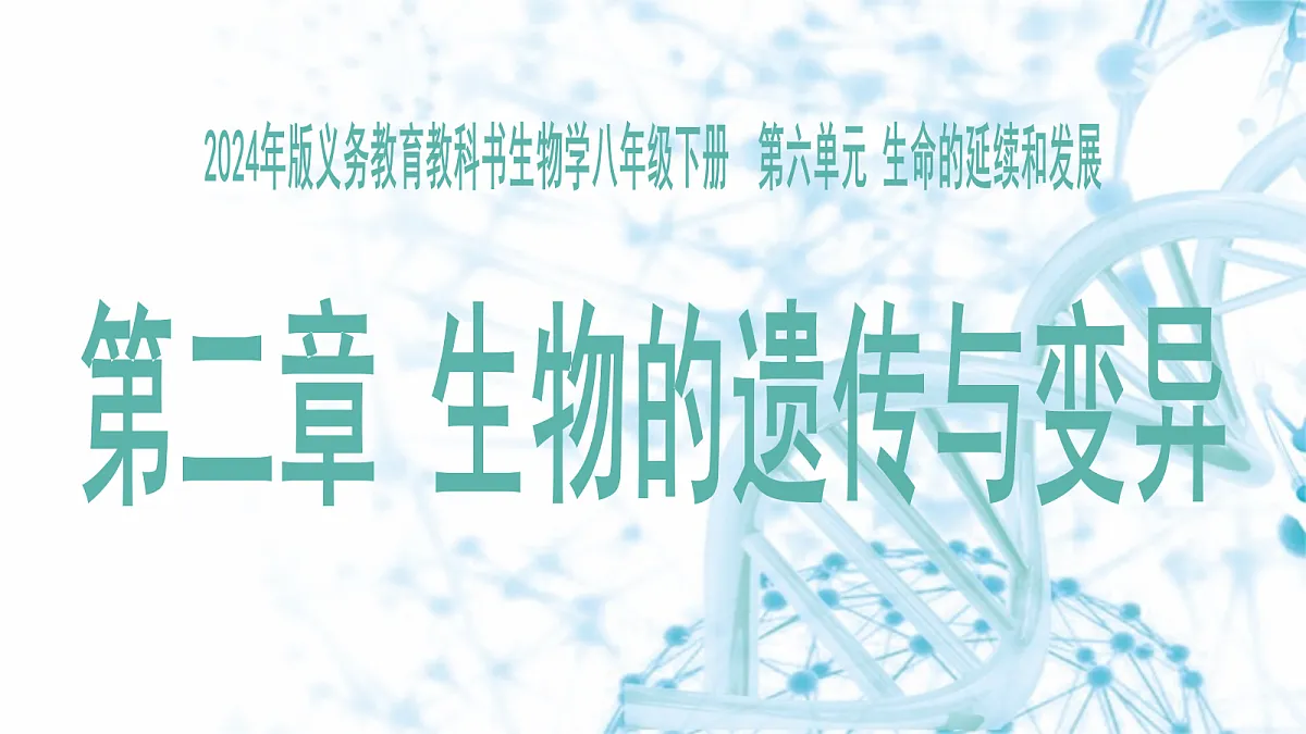 18175979第4页