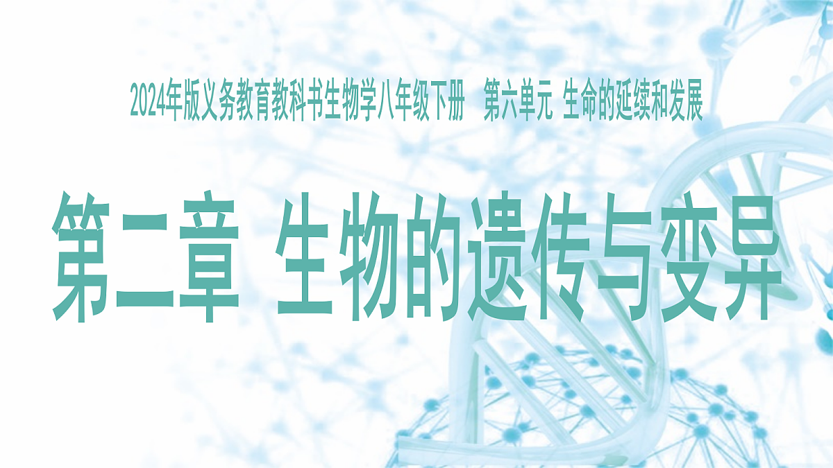 18175979第4页
