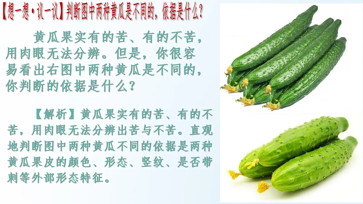 18175979第5页
