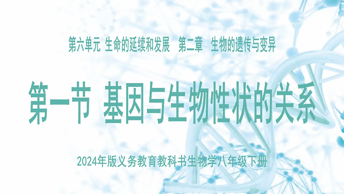 18175979第6页