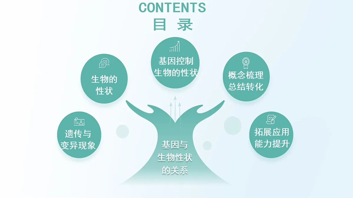 18175979第7页
