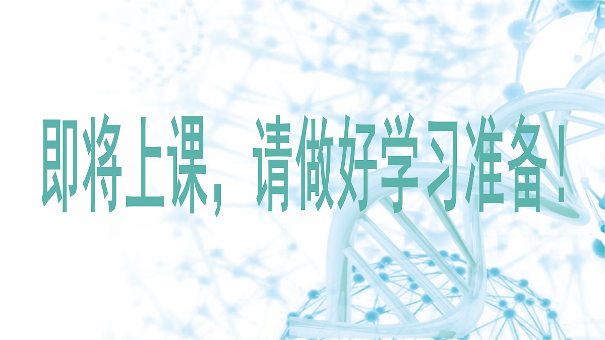 18175980第1页