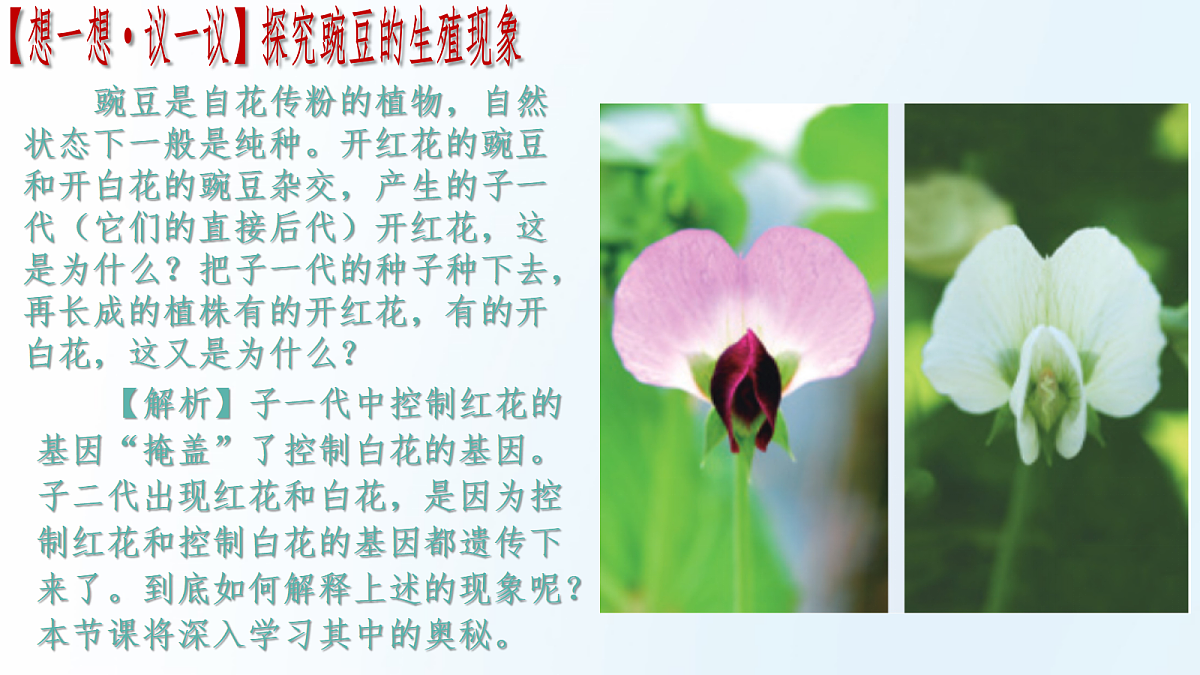 18175980第2页