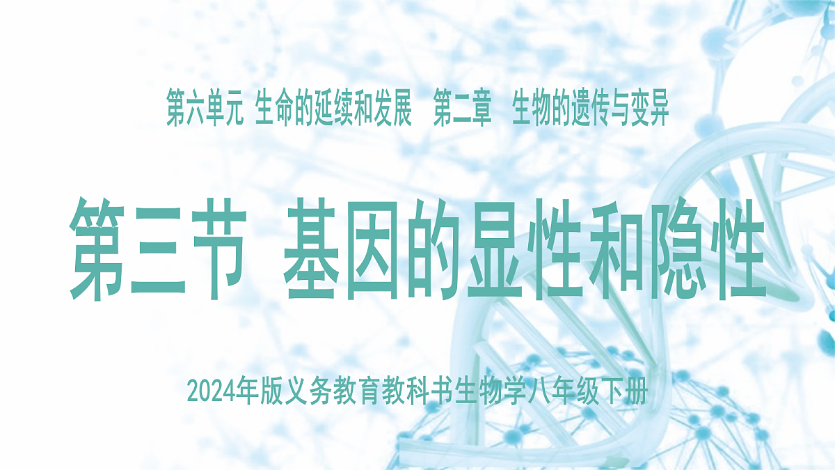 18175980第3页