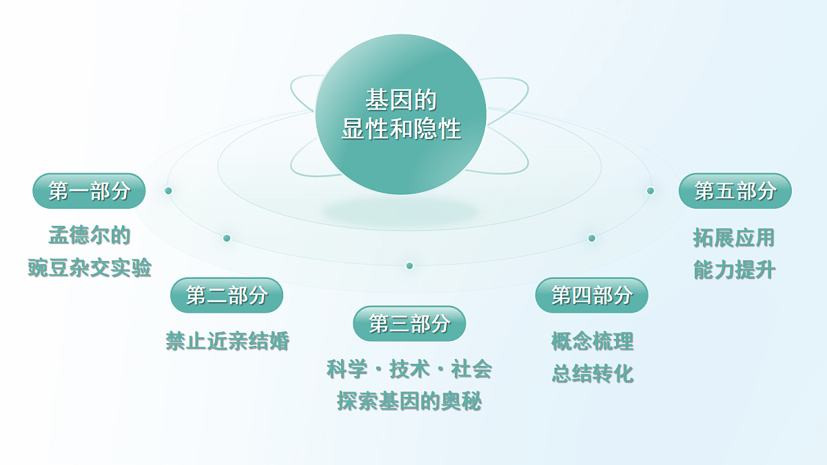 18175980第4页