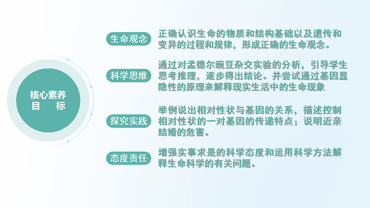 18175980第5页