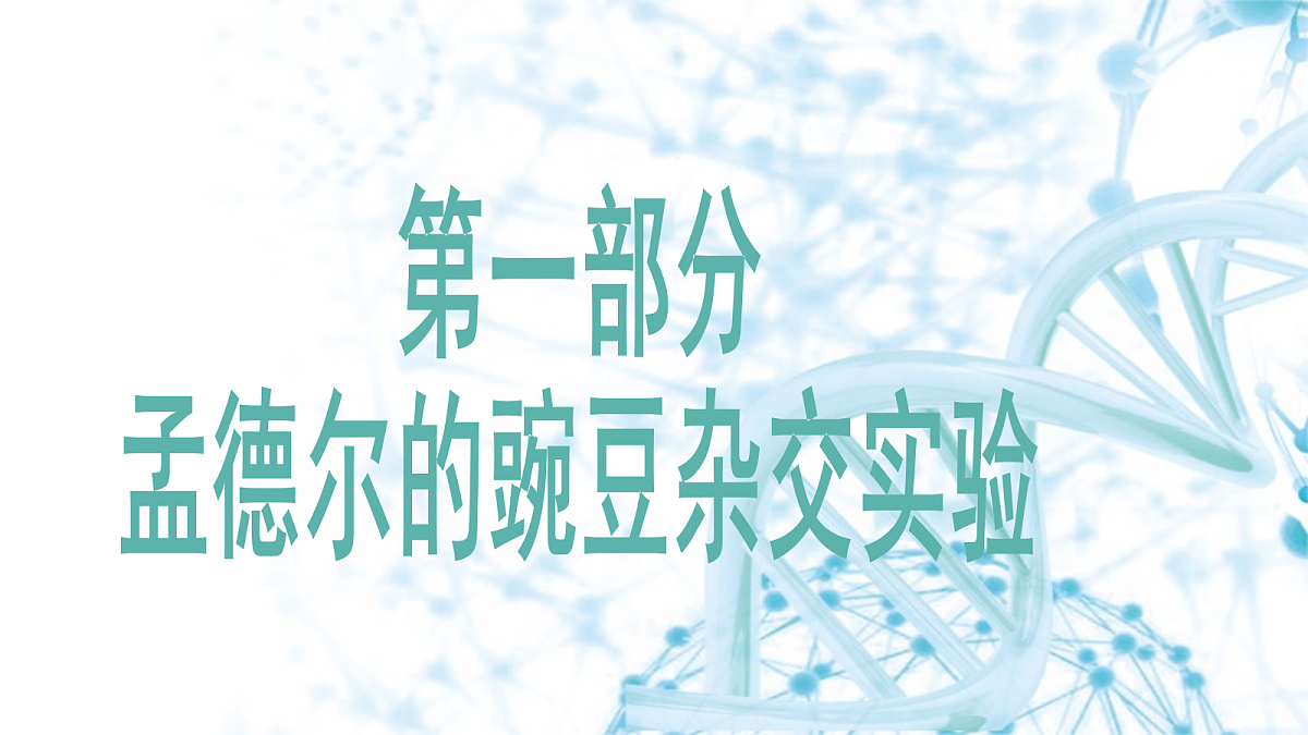 18175980第6页