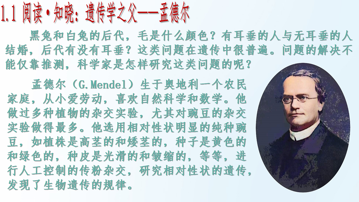 18175980第7页