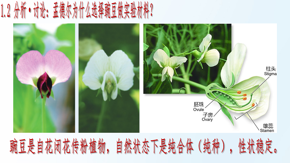 18175980第8页