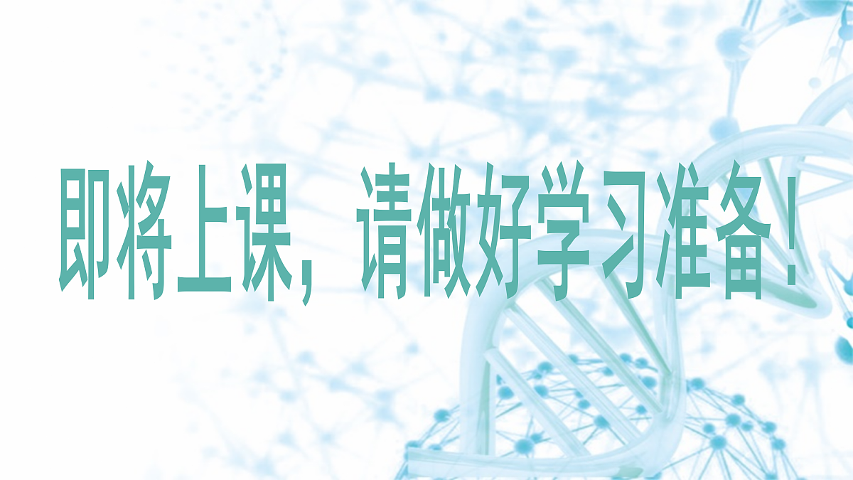 18175982第1页