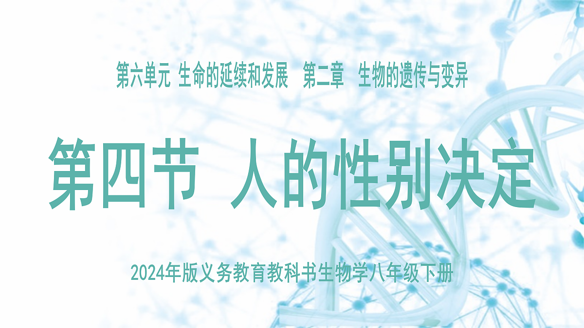 18175982第3页