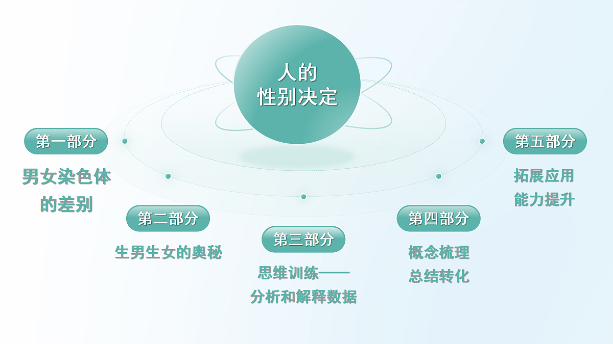 18175982第4页