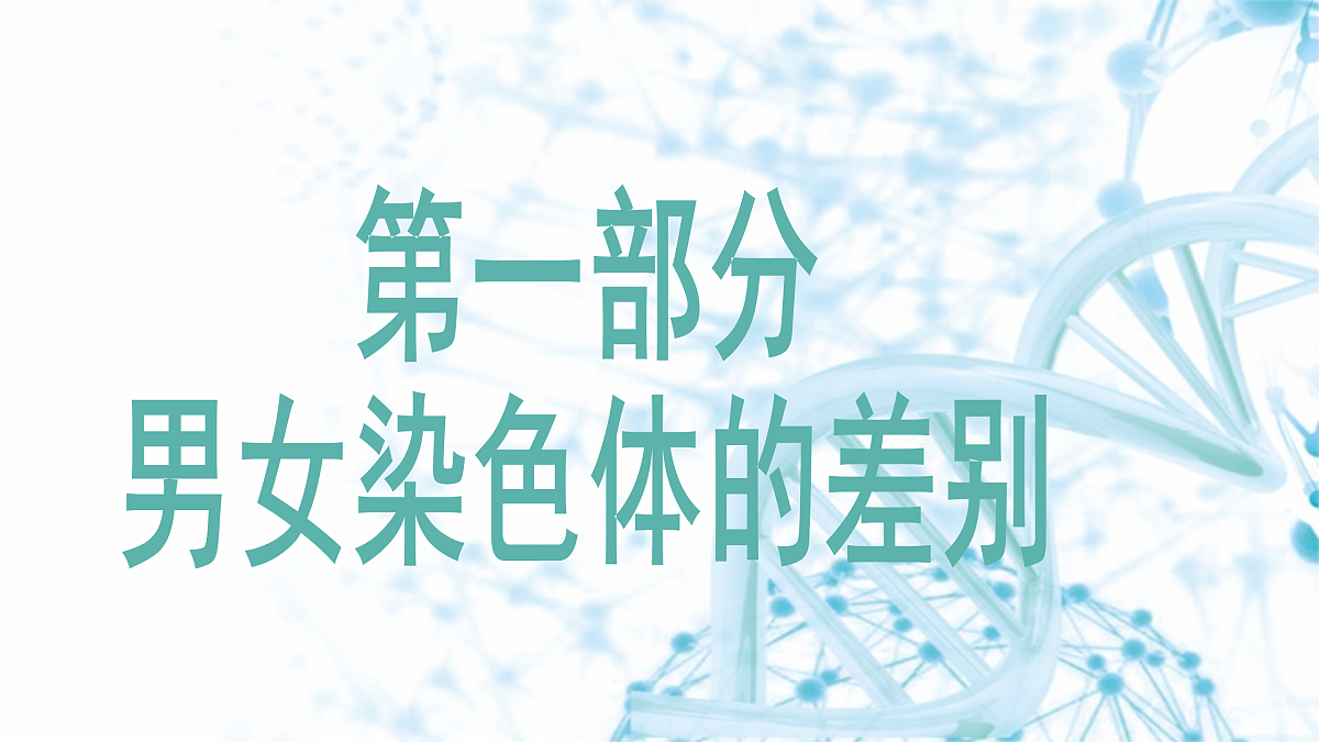 18175982第6页