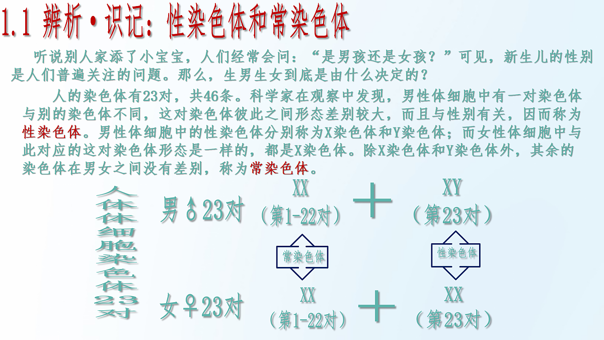 18175982第7页