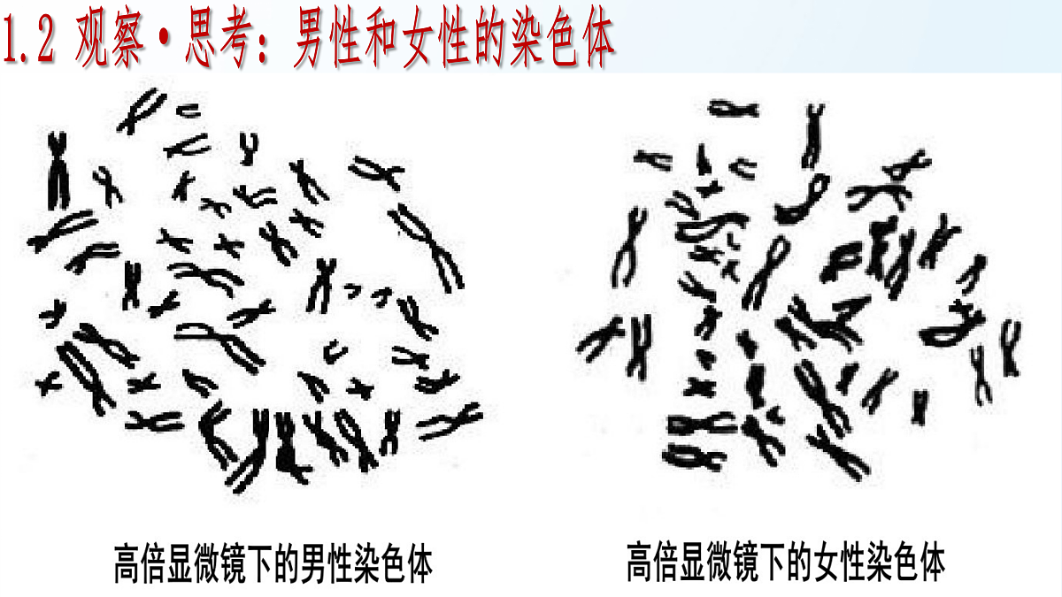 18175982第8页