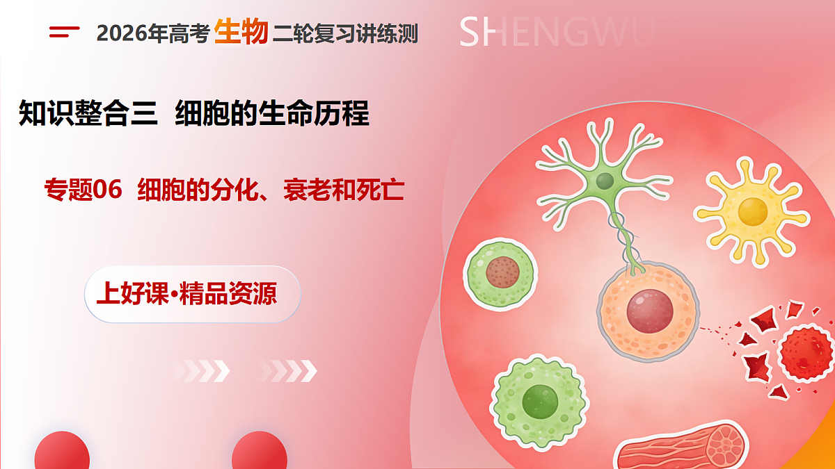 18175991第1页