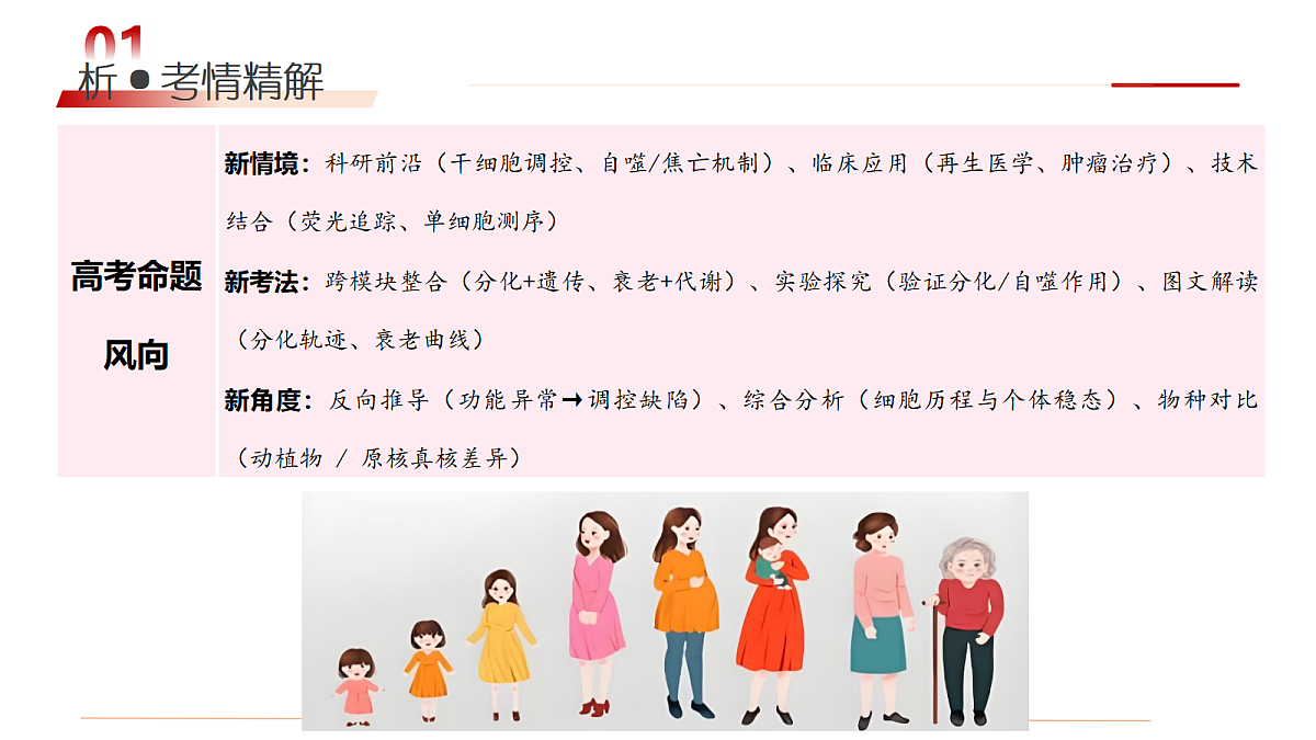 18175991第5页