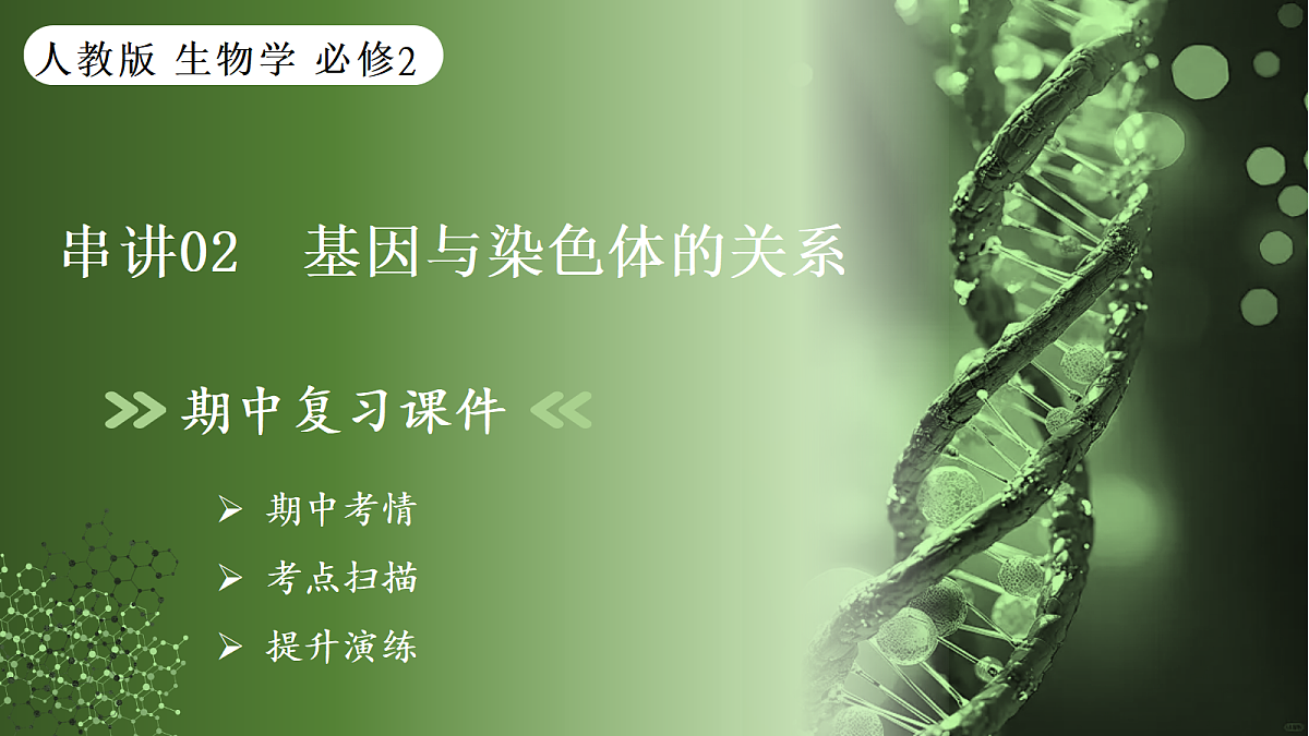 18175994第1页