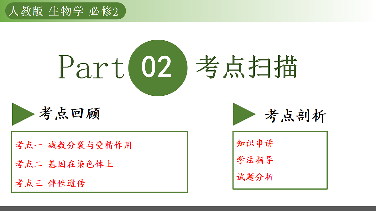 18175994第5页