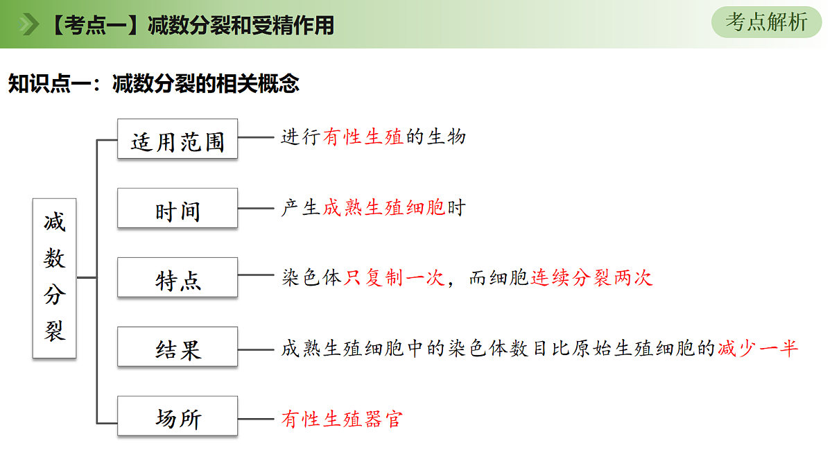 18175994第7页