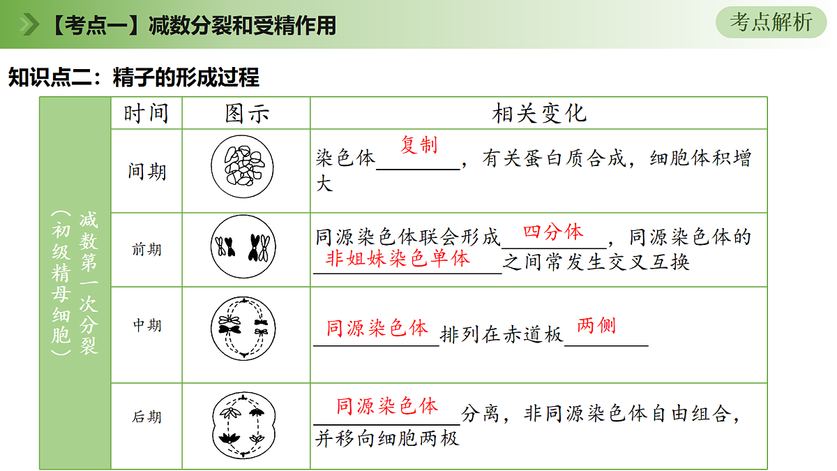 18175994第8页