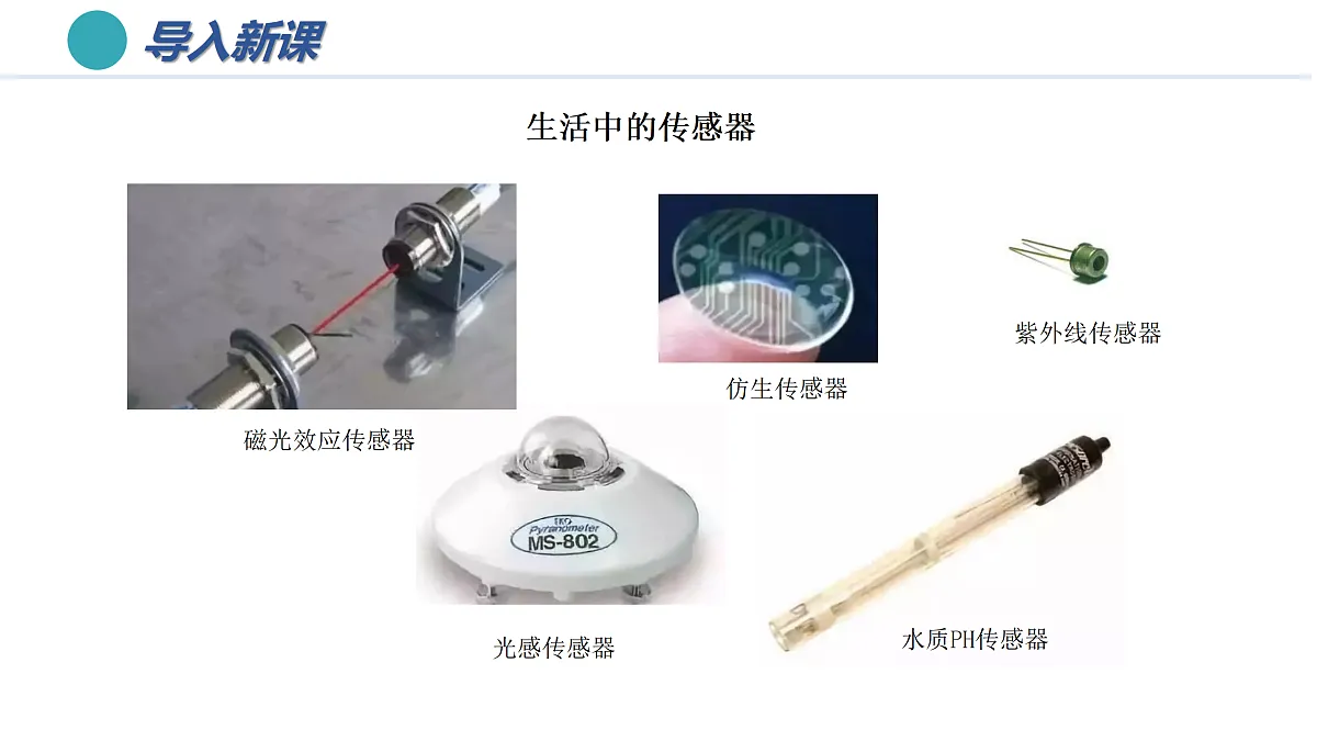 18175998第3页