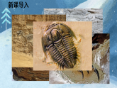 第8课《时间的脚印》课件-2025-2026学年统编版语文八年级下册