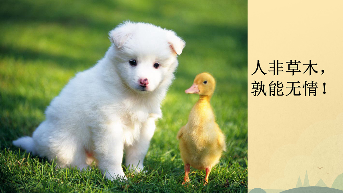 18176965第1页