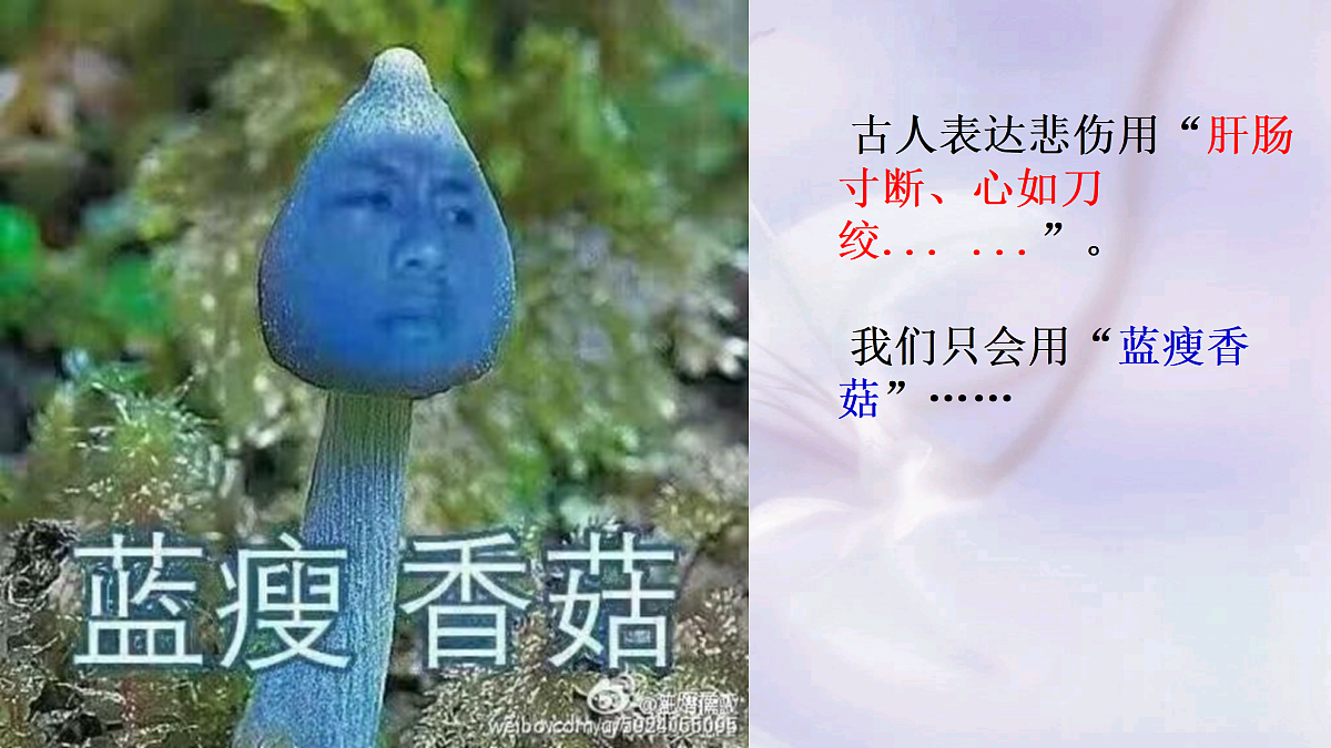 18176965第4页