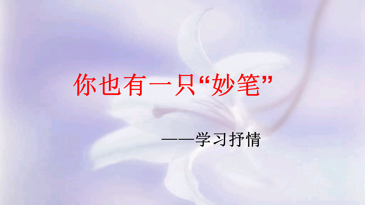 18176965第5页