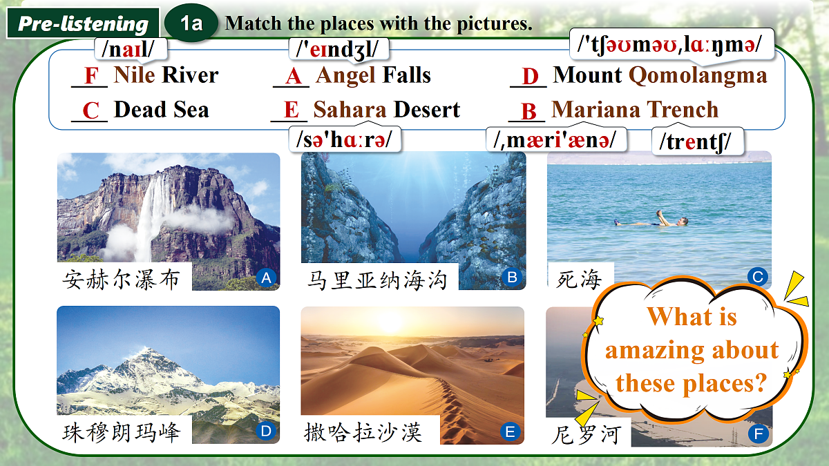 18177119第8页