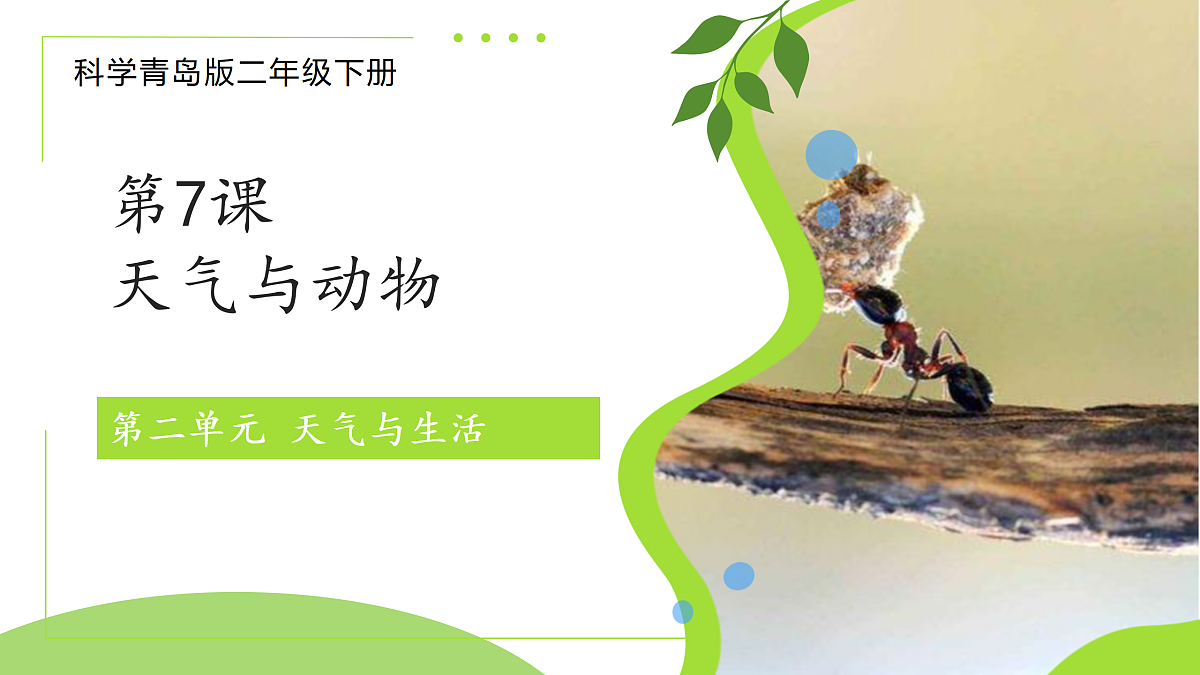 18177292第1页