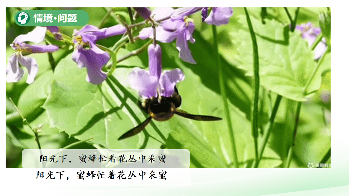 18177292第2页