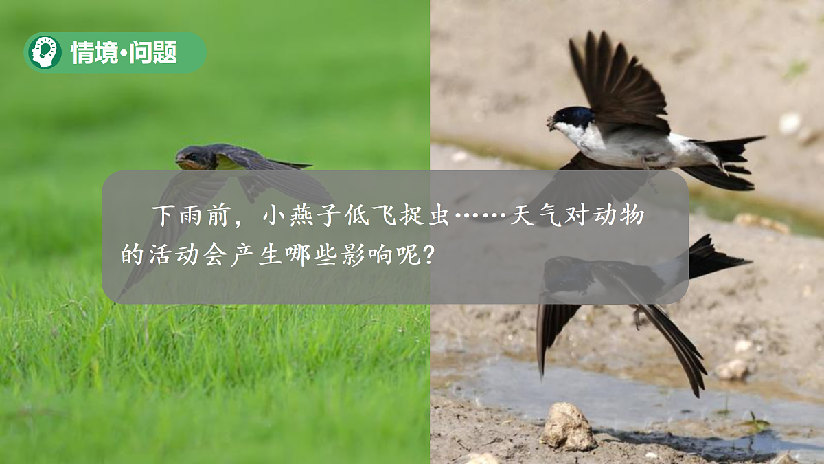 18177292第3页