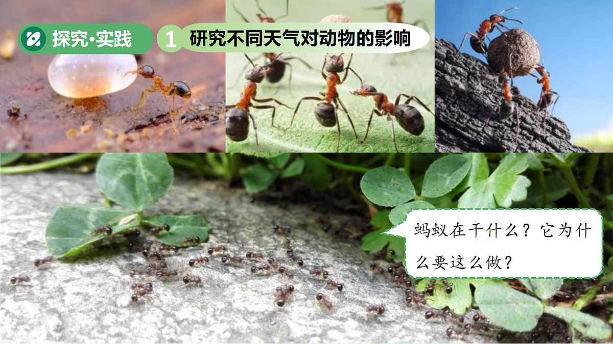 18177292第4页