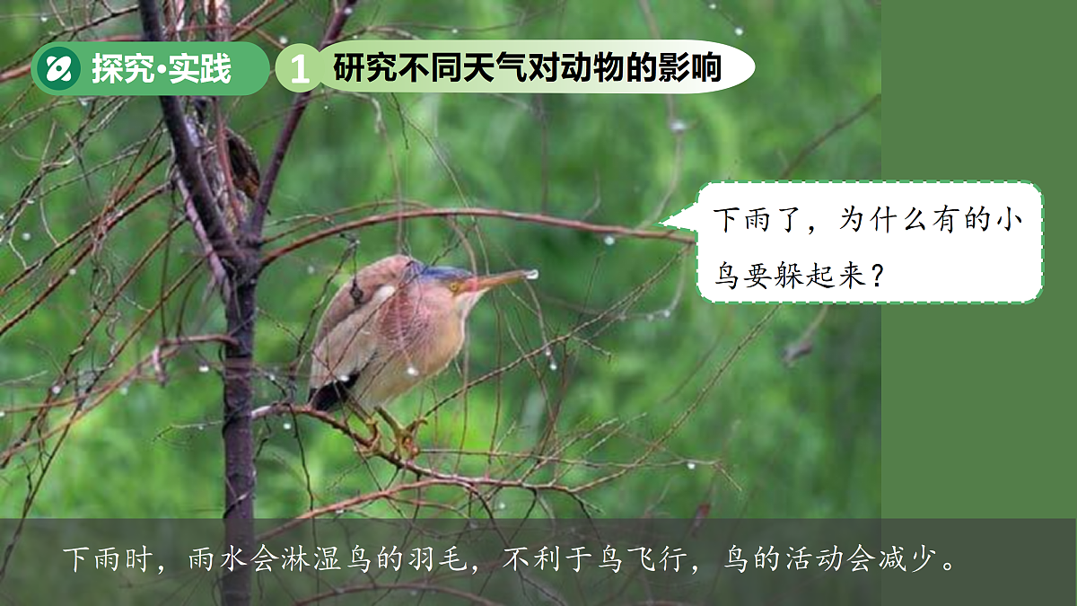 18177292第5页