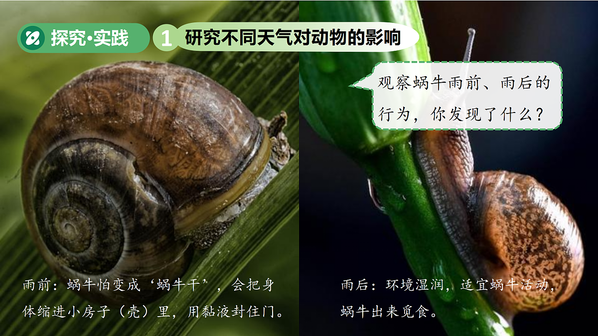 18177292第6页