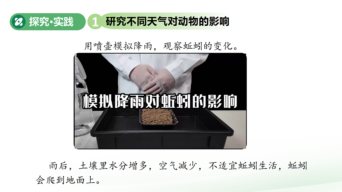 18177292第7页