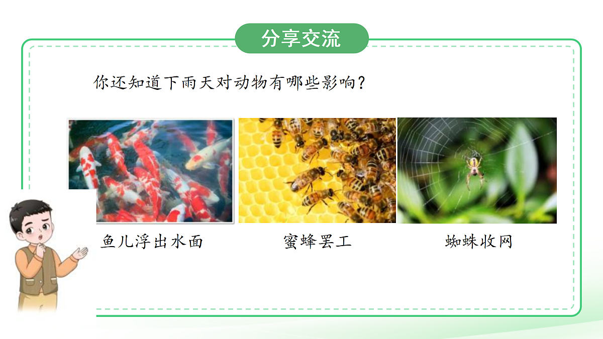 18177292第8页
