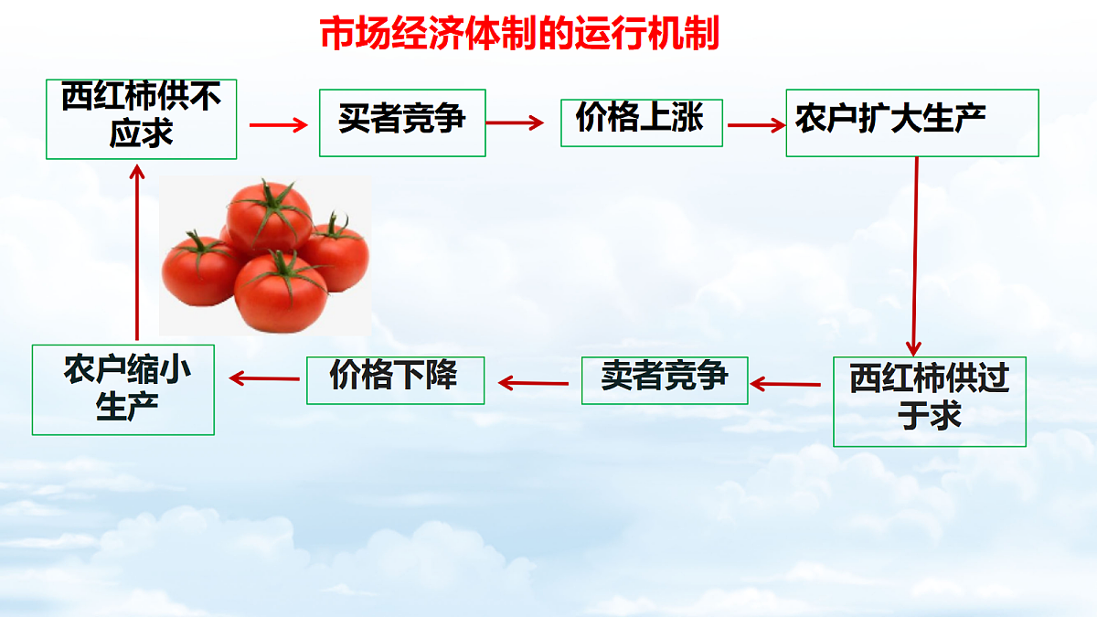 18177405第5页