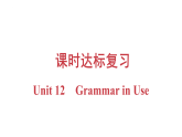 Unit 12 Grammar in Use课时达标知识复习课件 2025-2026学年仁爱科普版八年级下学期英语