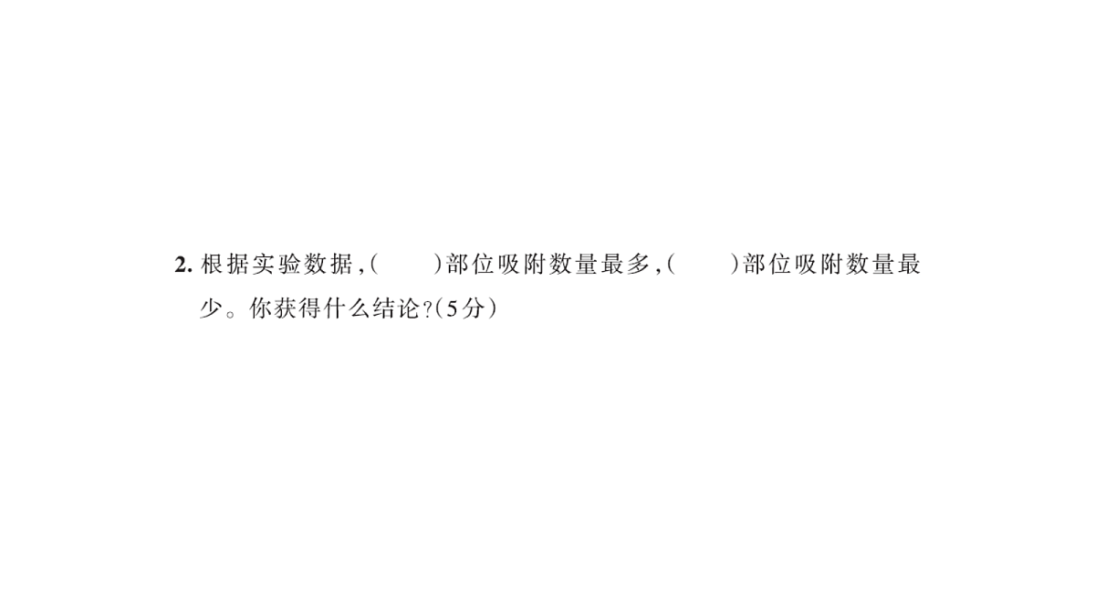 18177730第7页