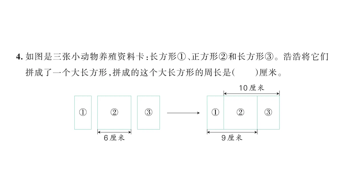 18177746第3页