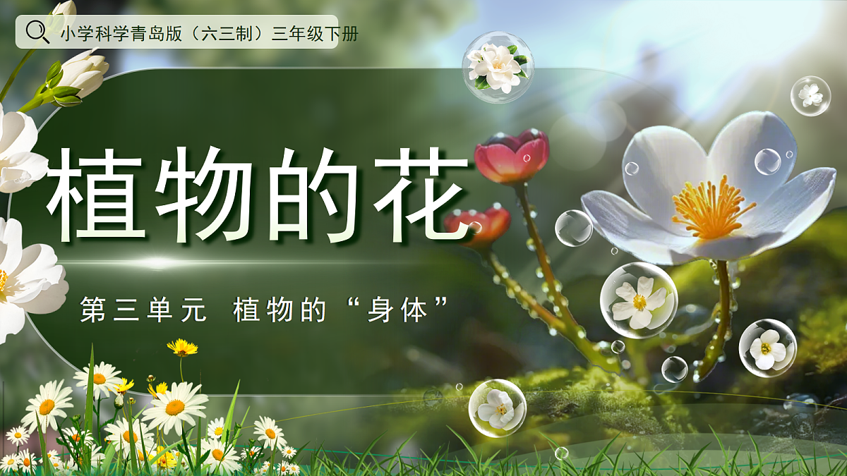 18177782第1页