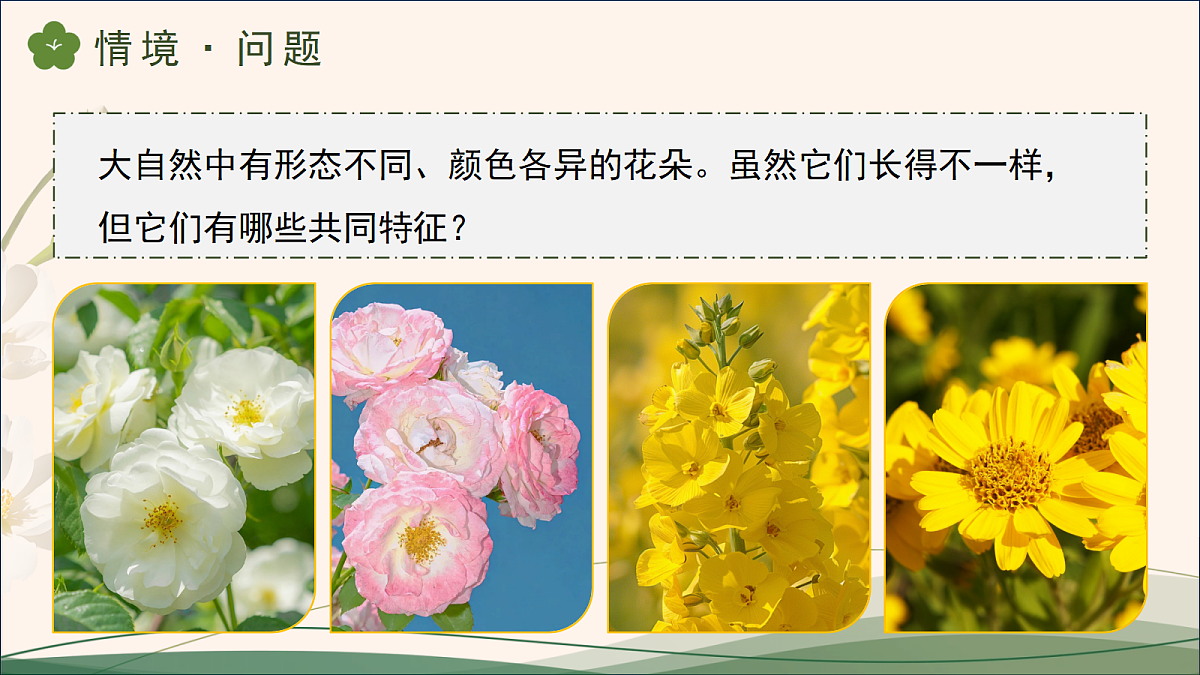 18177782第5页
