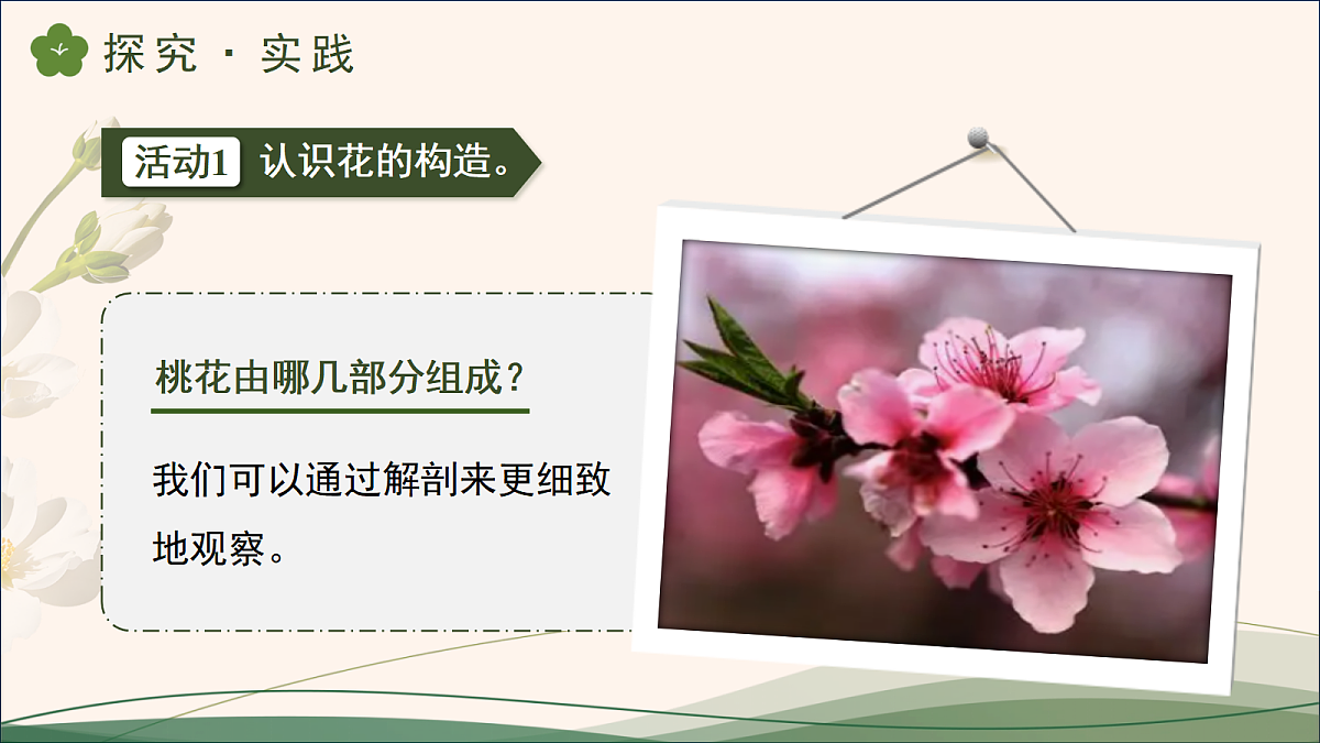 18177782第7页